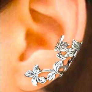 Pair of ear clips silver